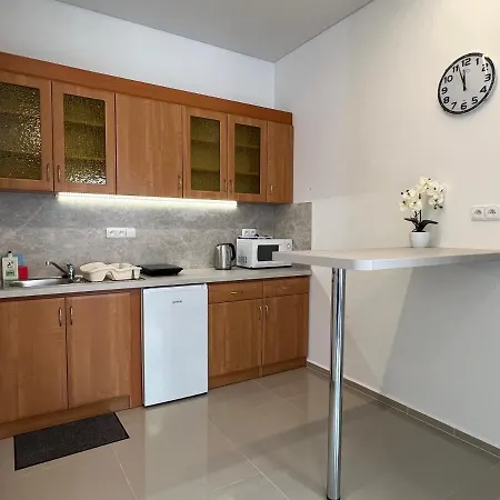 Madonna Apartment Karlsbad